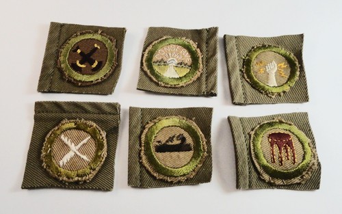 Six bsa merit badges - merit,