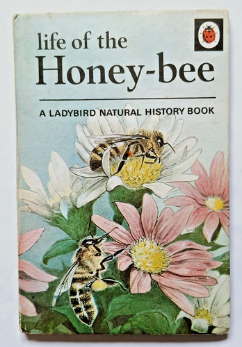 Ladybird life the honey bee - ladybird,