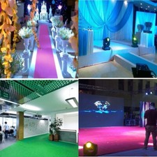 Red Carpet Aisle Runner Runway