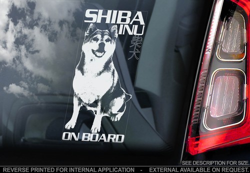 Shiba inu car - -, window