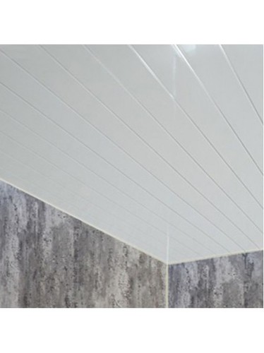 20x white gloss silver - silver, strip