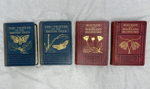 Moths british isles richard - british,