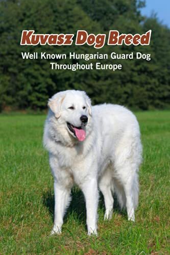 Kuvasz dog breed well known - kuvasz,