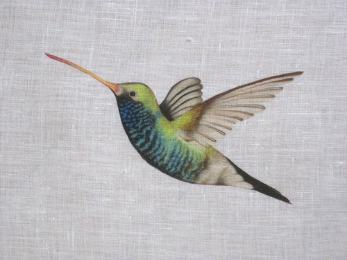 Harlequin curtain fabric - harlequin,