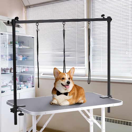 Dog pet grooming table - dog,