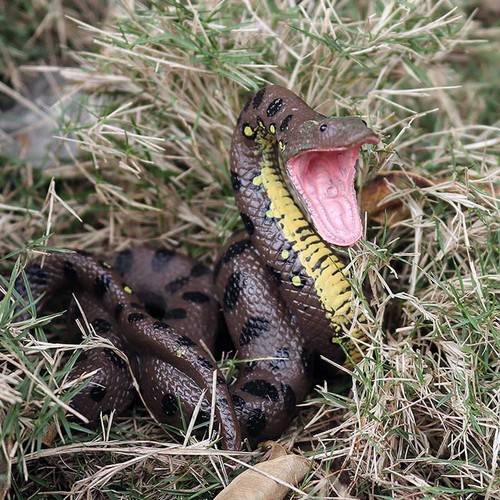 Halloween fake snake toy - halloween,