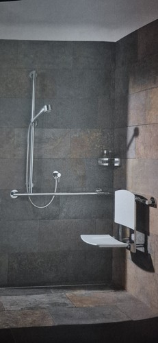 Shower corner grab rail - grab, with