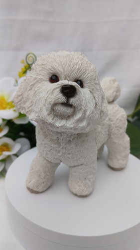 Flawless bichon frise dog - bichon,