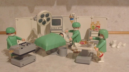 Playmobil 100 complete set - 100%,