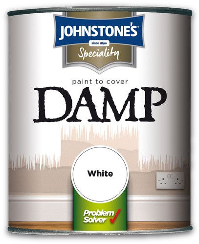 Paint cover damp - paint,