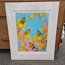 Greenfinches in Pink By Heidi