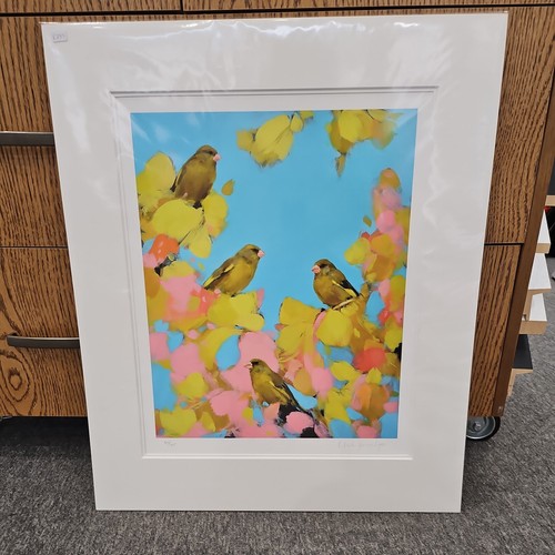 Greenfinches pink heidi - in, by