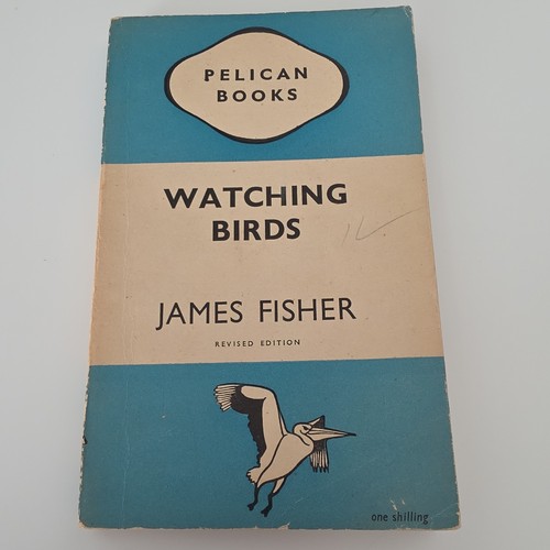 Pelican books watching birds - pelican,