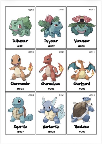 Pokédex for binder 1025 - pokédex,
