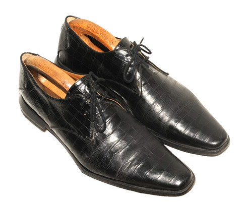 Great oliver sweeney crocodile - oliver,