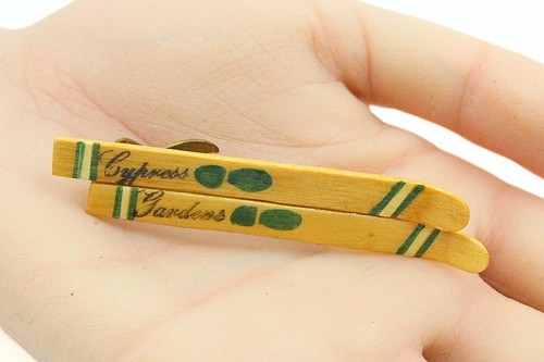 Vintage cypress gardens water - cypress,