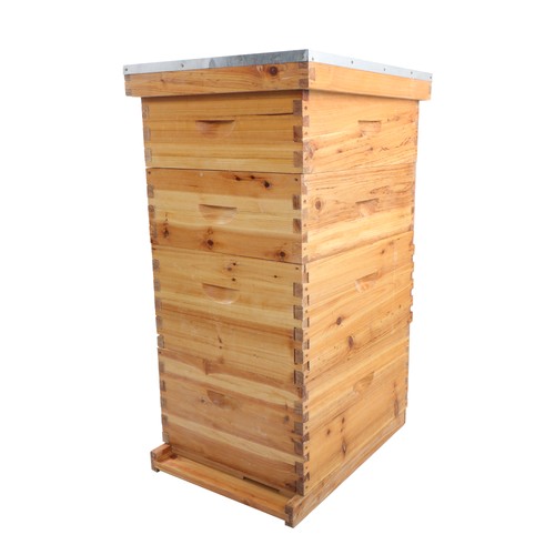 Layer frame bee - layer,