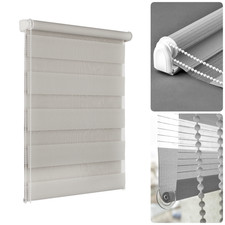 Day & Night Zebra Vision