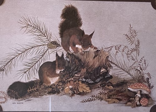 Vintage collectable framed - collectable,