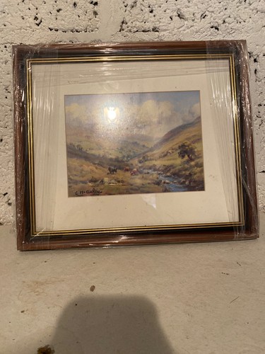 Charles mcauley original irish - mcauley,