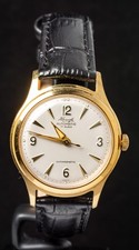 Kienzle Gold-Plated Men's