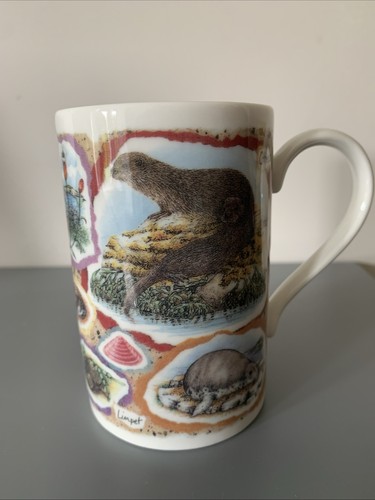 Shoreline design jane - shoreline,