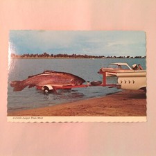 Vtg Souvenir Color Postcard A