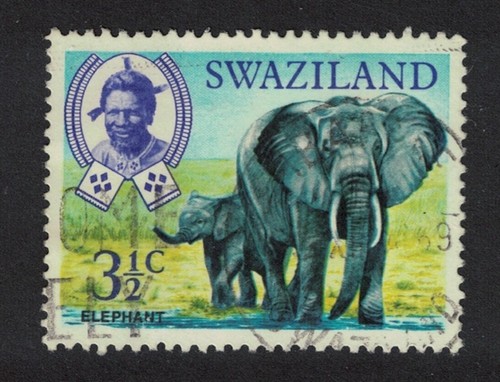African elephant swaziland - african,
