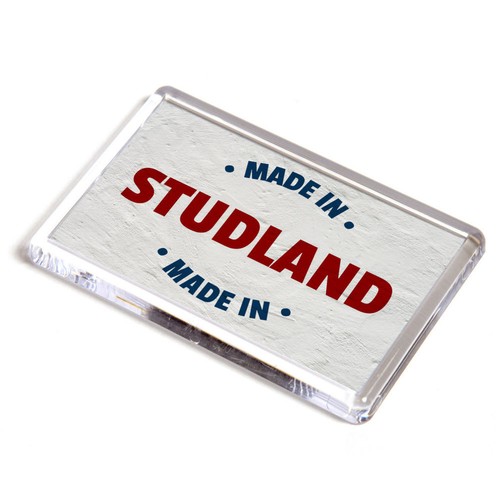 Fridge magnet made in - -,