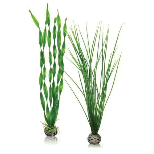 Biorb tall large - tall/large, green
