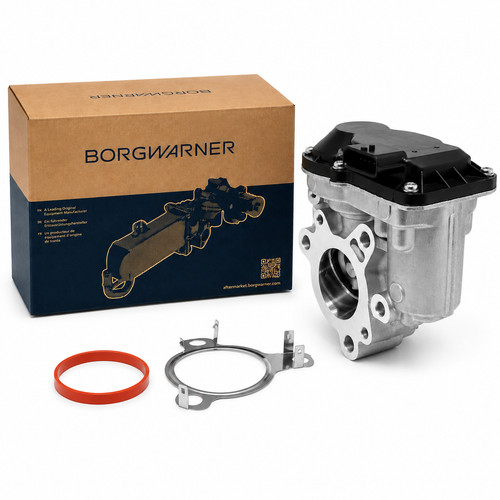 Borgwarner egr valve for - valve,