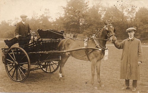 Early postcard horse drawn - early, horse-drawn