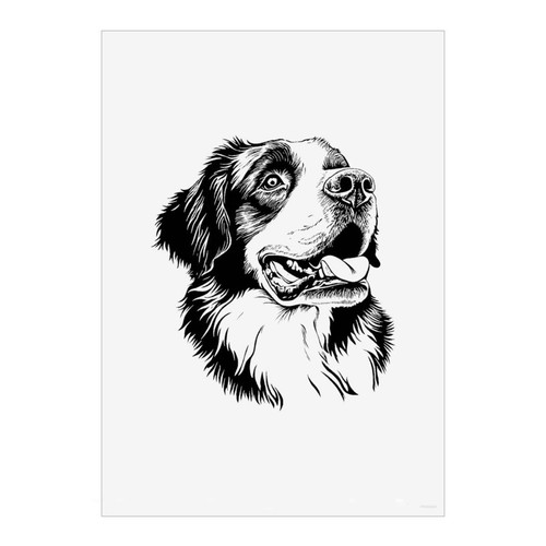 Bernard dog portrait wall - 'st,