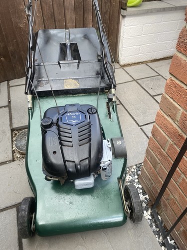 Hayter harrier petrol - hayter,