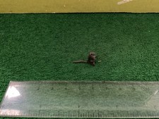 Vintage Britains Lead Garden/Farm. A Rare Sitting Rat.