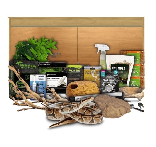 Swell reptiles royal python - swell,