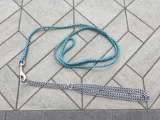 Dog kangaroo leather show lead with half check collar