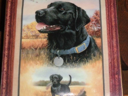 Lovely franklin mint labrador - lovely,