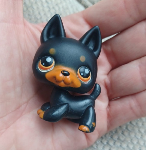 Rare littlest pet shop - rare,