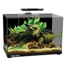 Aqua one focus glass - aqua,