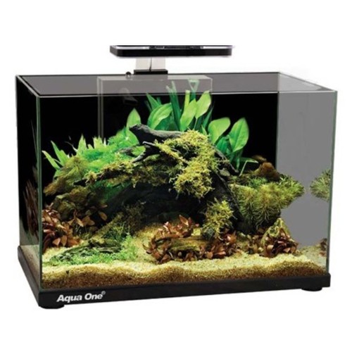 Aqua one focus glass - 36,