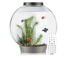 biOrb Classic 105L Aquarium