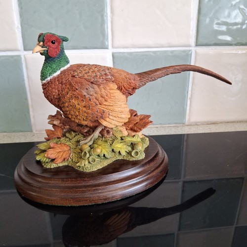 Country artists pheasant - country,