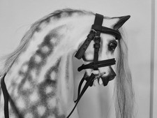Medium Stitched Bridle For