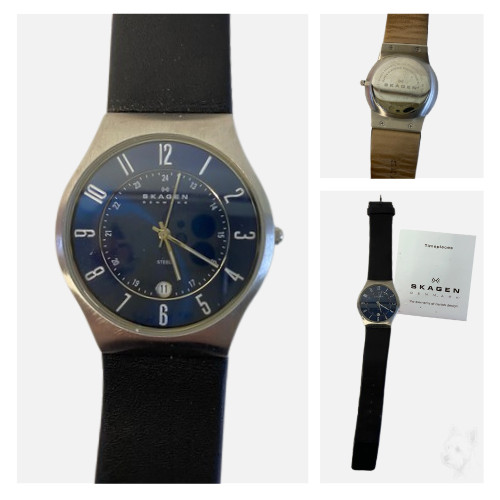 Skagen men blue - blue, dial