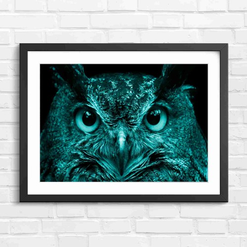 Intense orange owl eyes - orange,