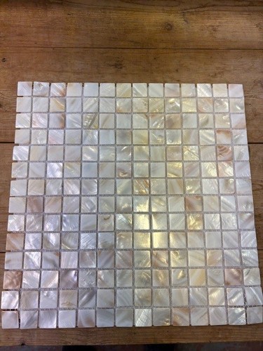 Natural freshwater shell - natural,