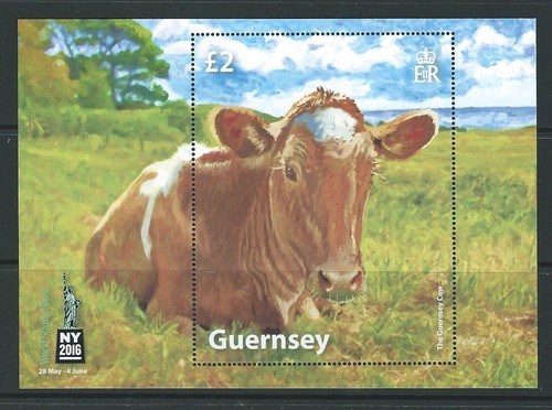 Guernsey 2016 cow - sheet, ms