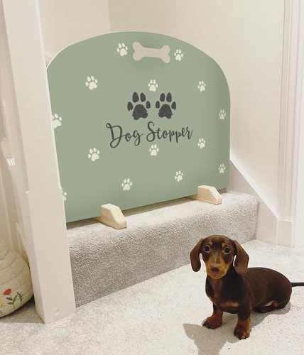 Dog stopper stop - dog, stopper,