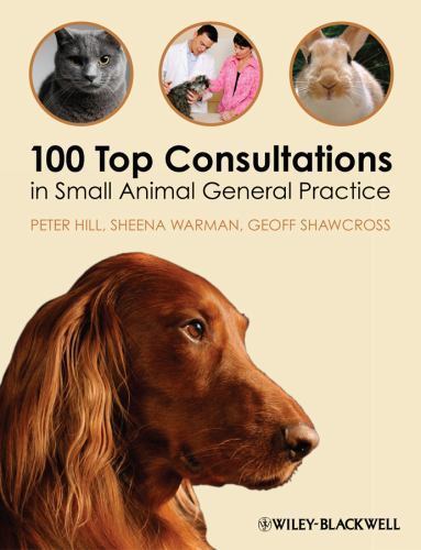 100 top consultations small - top, in